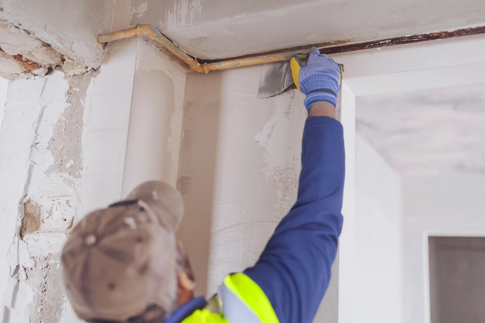 plasterin copy